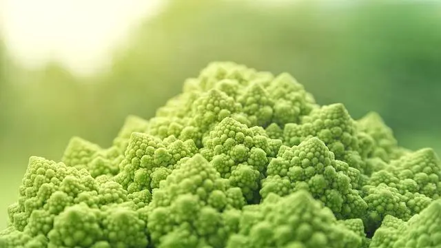Descubre la diversidad de sabores en el ⁣restaurante ⁣vegano de Los Alcázares