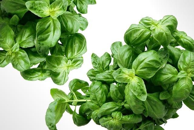 Ingredientes frescos y locales: la base de la cocina búlgara